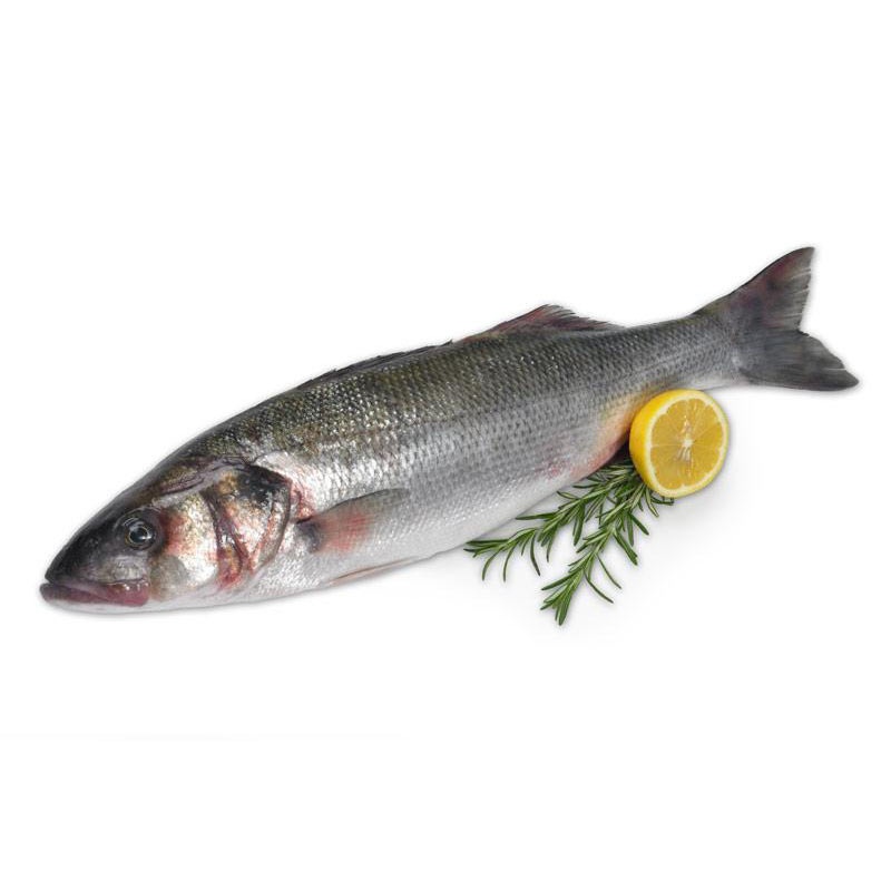 Вкусная рыба сибас: факты, рецепты, полезные свойства